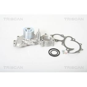 Achetez des Pompe à eau TRISCAN 8600 13929 à prix pour 54,92 €