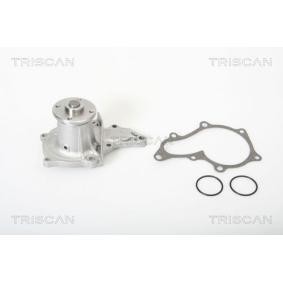 Achetez des Pompe à eau TRISCAN 8600 13932 à prix pour 55,98 €