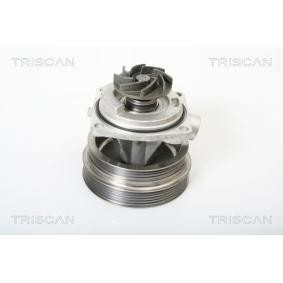 Wasserpumpe von TRISCAN