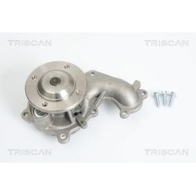 Wasserpumpe von TRISCAN
