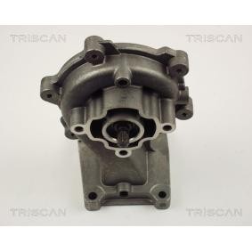 Wasserpumpe von TRISCAN