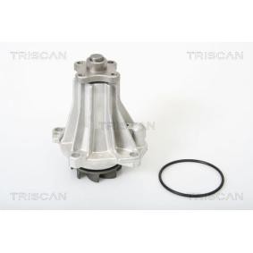 Wasserpumpe von TRISCAN