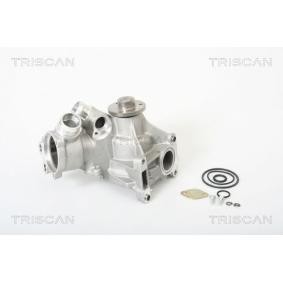 Achetez des Pompe à eau TRISCAN 8600 23002 à prix pour 127,19 €