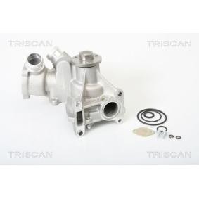 Achetez des Pompe à eau TRISCAN 8600 23009 à prix pour 126,29 €