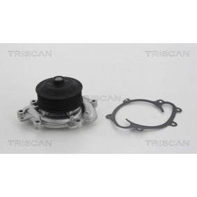 Achetez des Pompe à eau TRISCAN 8600 23017 à prix pour 106,47 €