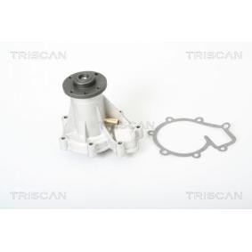 Achetez des Pompe à eau TRISCAN 8600 23838 à prix pour 63,95 €