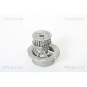 Wasserpumpe von TRISCAN