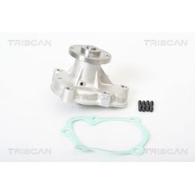 Achetez des Pompe à eau TRISCAN 8600 24006 à prix pour 57,54 €