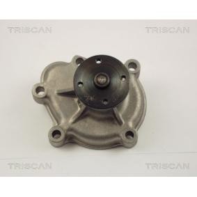 Achetez des Pompe à eau TRISCAN 8600 24008 à prix pour 52,79 €