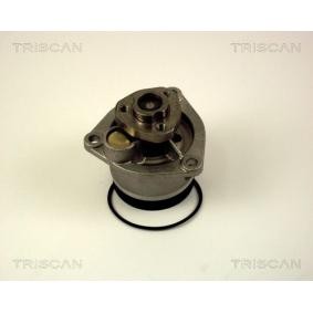 Wasserpumpe von TRISCAN