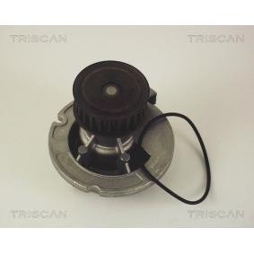 Wasserpumpe von TRISCAN