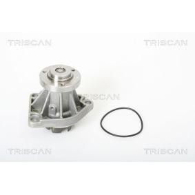 Achetez des Pompe à eau TRISCAN 8600 24013 à prix pour 58,27 €