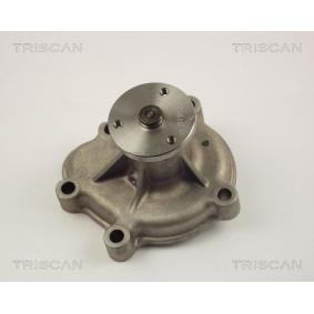 Wasserpumpe von TRISCAN