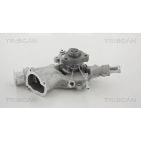 Wasserpumpe von TRISCAN
