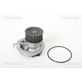 Achetez des Pompe à eau TRISCAN 8600 24052 à prix pour 36,11 €