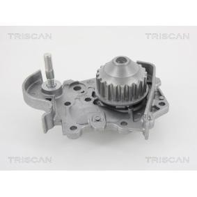 Wasserpumpe von TRISCAN