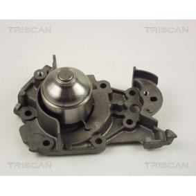 Achetez des Pompe à eau TRISCAN 8600 25013 à prix pour 30,98 €