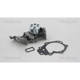 Achetez des Pompe à eau TRISCAN 8600 25018 à prix pour 72,83 €