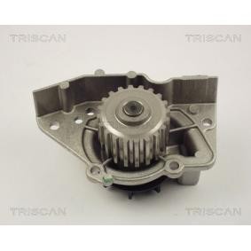Achetez des Pompe à eau TRISCAN 8600 28005 à prix pour 47,35 €