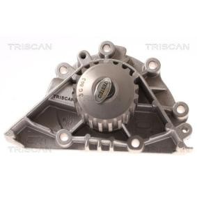 Achetez des Pompe à eau TRISCAN 8600 28012 à prix pour 65,37 €