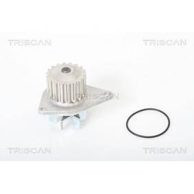Wasserpumpe von TRISCAN