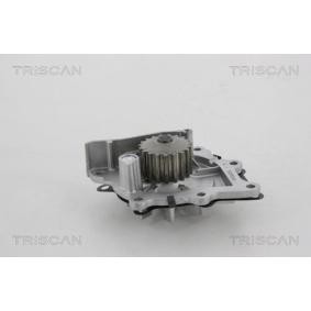Achetez des Pompe à eau TRISCAN 8600 28021 à prix pour 74,73 €