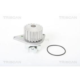 Wasserpumpe von TRISCAN