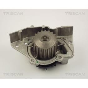 Wasserpumpe von TRISCAN