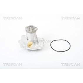 Acquista Pompa acqua da TRISCAN 8600 29006 a buon mercato per soli 55,93 €