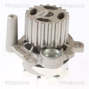 Achetez des Pompe à eau TRISCAN 8600 29038 à prix pour 55,60 €