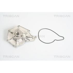Wasserpumpe von TRISCAN