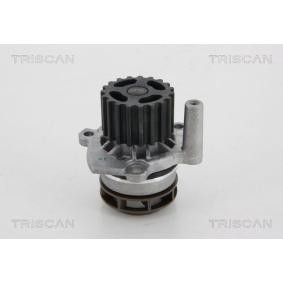 Achetez des Pompe à eau TRISCAN 8600 29048 à prix pour 51,51 €