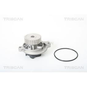 Wasserpumpe von TRISCAN