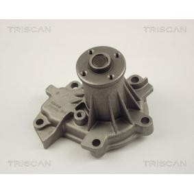 Wasserpumpe von TRISCAN