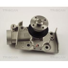 Wasserpumpe von TRISCAN