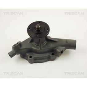 Wasserpumpe von TRISCAN