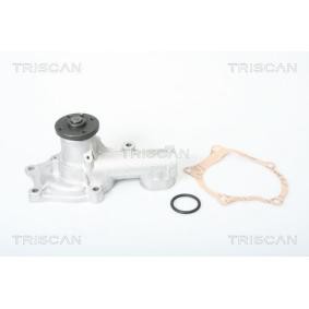 Wasserpumpe von TRISCAN