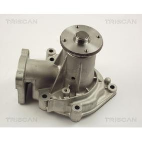Wasserpumpe von TRISCAN