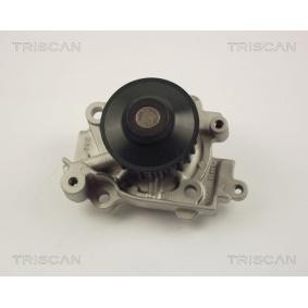 Achetez des Pompe à eau TRISCAN 8600 42010 à prix pour 69,41 €