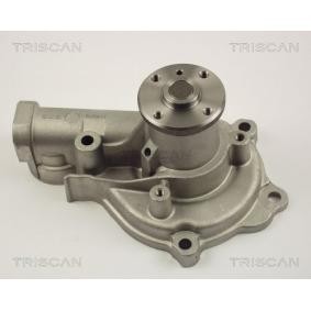 Wasserpumpe von TRISCAN
