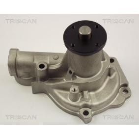Achetez des Pompe à eau TRISCAN 8600 42014 à prix pour 78,13 €