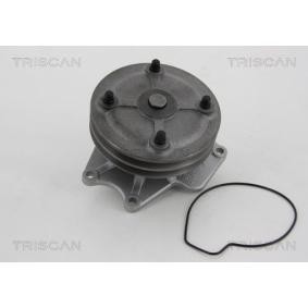 Wasserpumpe von TRISCAN