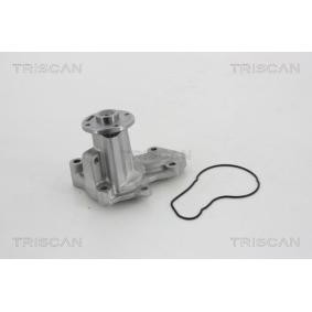 Achetez des Pompe à eau TRISCAN 8600 42020 à prix pour 92,41 €
