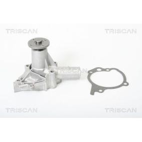 Achetez des Pompe à eau TRISCAN 8600 42816 à prix pour 51,86 €