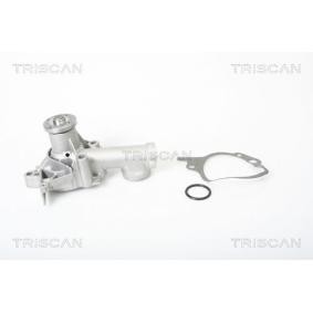 Achetez des Pompe à eau TRISCAN 8600 42882 à prix pour 36,87 €
