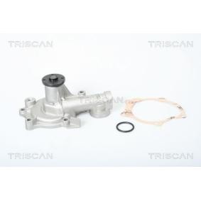 Achetez des Pompe à eau TRISCAN 8600 42938 à prix pour 68,81 €