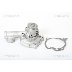 Wasserpumpe von TRISCAN