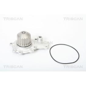 Wasserpumpe von TRISCAN