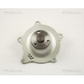 Achetez des Pompe à eau TRISCAN 8600 80005 à prix pour 46,88 €