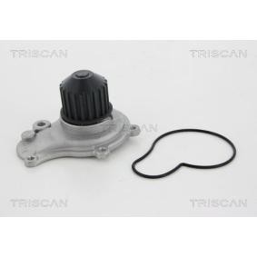 Achetez des Pompe à eau TRISCAN 8600 80011 à prix pour 44,26 €